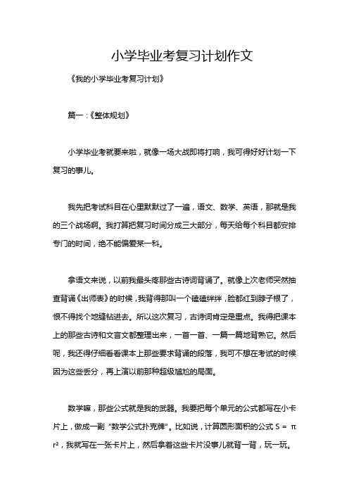 小学毕业考复习计划作文