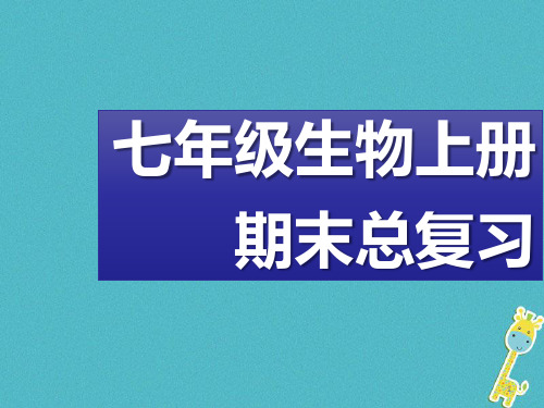 七年级生物上册植物的三大生理作用复习课件