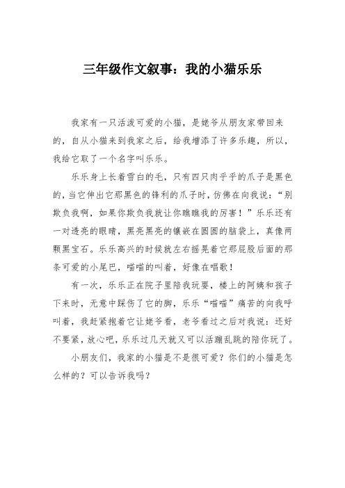 三年级作文叙事:我的小猫乐乐