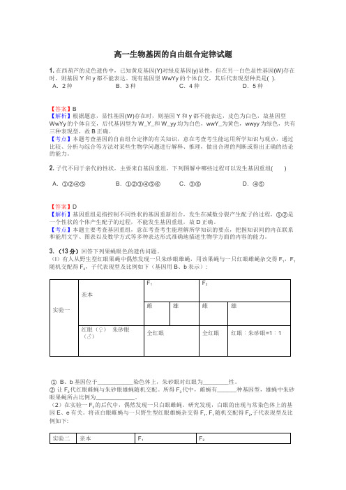 高一生物基因的自由组合定律试题
