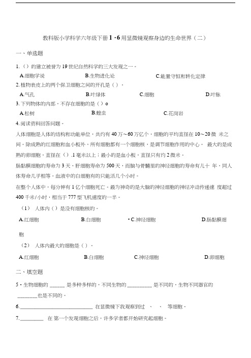 六年级下册科学试题 16用显微镜观察身边的生命世界二 教科版含解析.docx