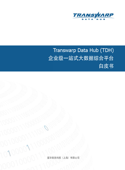 Transwarp Data Hub一站式大数据综合平台白皮书