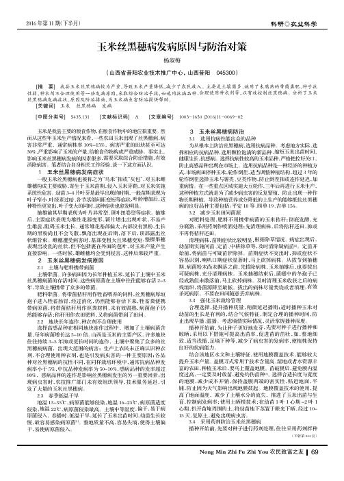 玉米丝黑穗病发病原因与防治对策