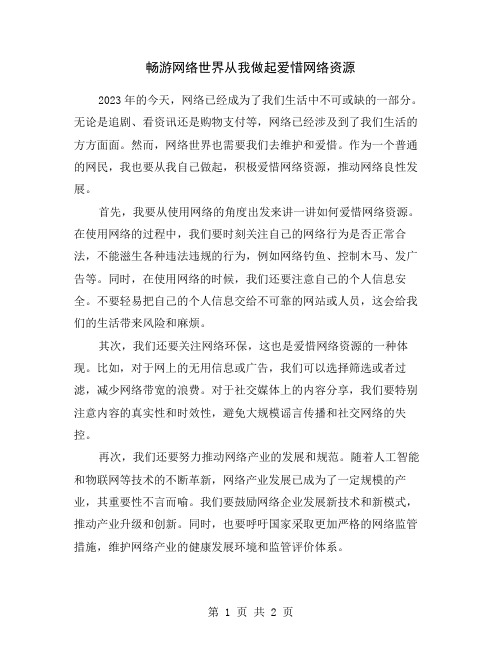 畅游网络世界从我做起爱惜网络资源