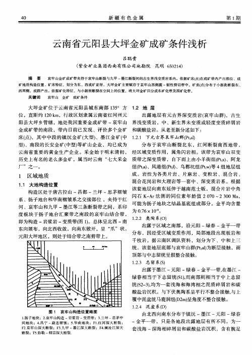 云南省元阳县大坪金矿成矿条件浅析