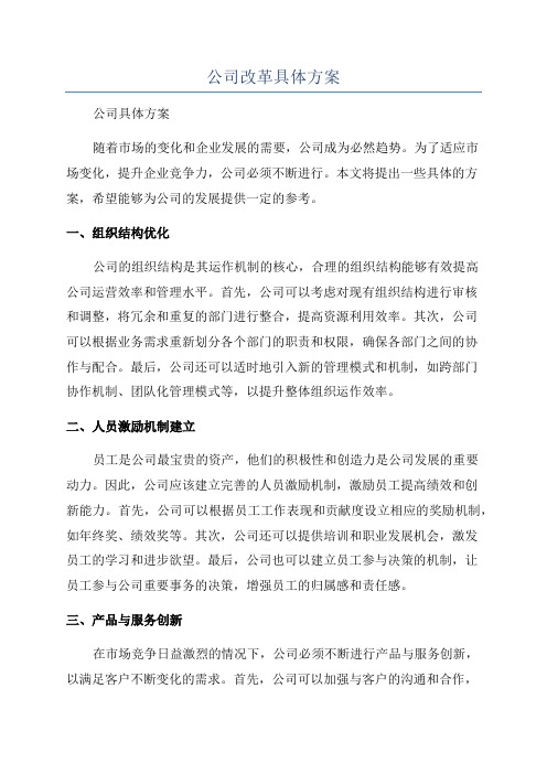 公司改革具体方案