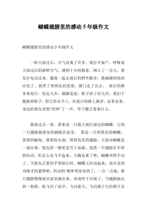 蝴蝶翅膀里的感动5年级作文