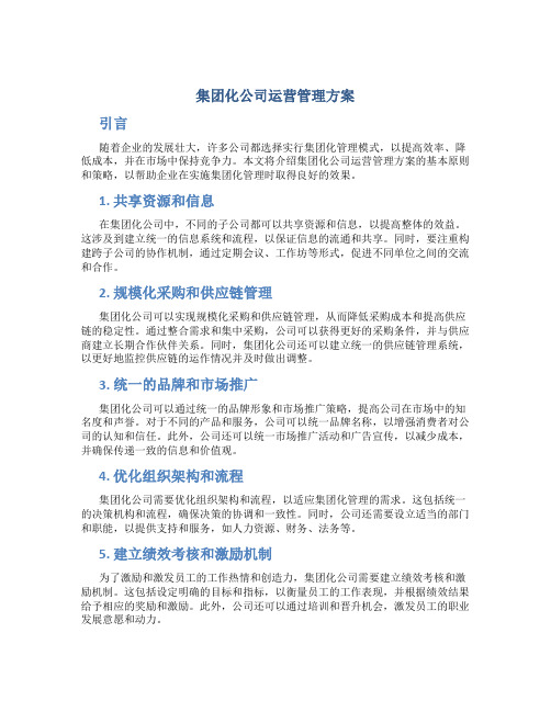 集团化公司运营管理方案