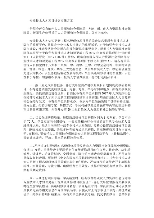 专业技术人才项目计划实施方案(最新)