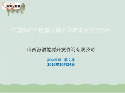 中国煤矿产能增长情况及成本竞争力分析PPT课件( 29页)