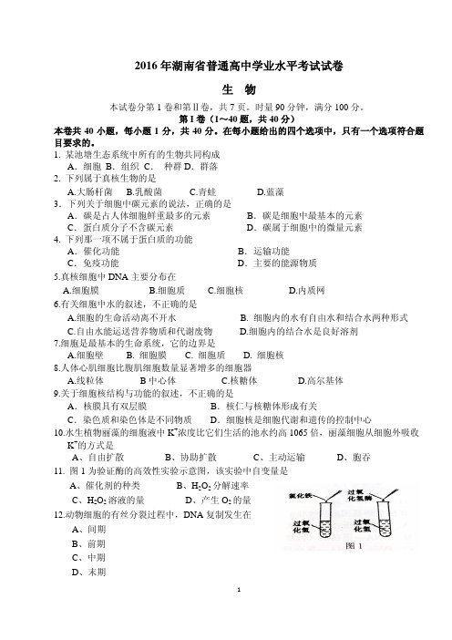 2016年湖南省普通高中学业水平考试试卷生物