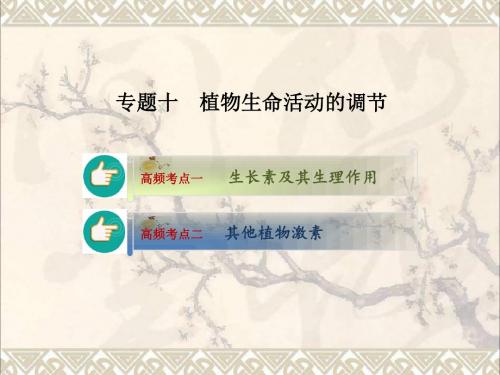 新高考2017届高考生物二轮复习专题10植物生命活动的调节课件