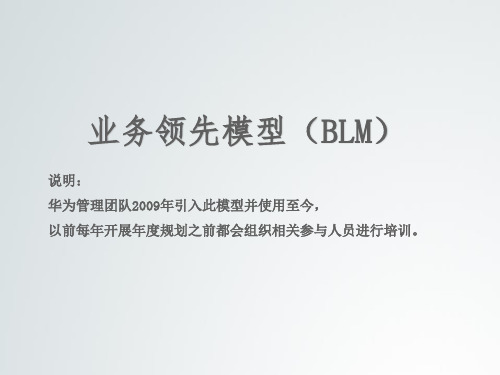 华为管理团队业务领先模型(BLM模型)