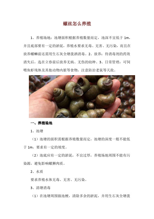 螺丝怎么养殖