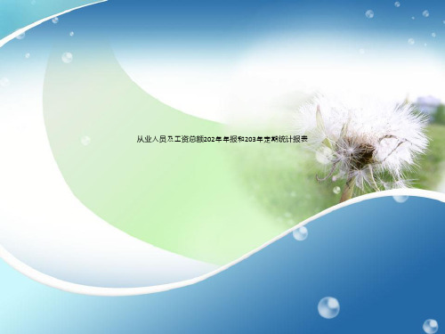 从业人员及工资总额202年年报和203年定期统计报表