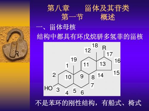 第八章甾体及其苷类(修改)1