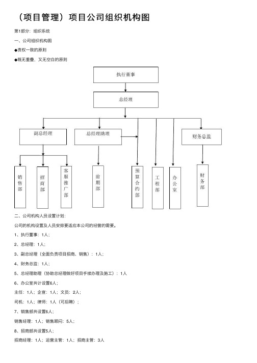 （项目管理）项目公司组织机构图