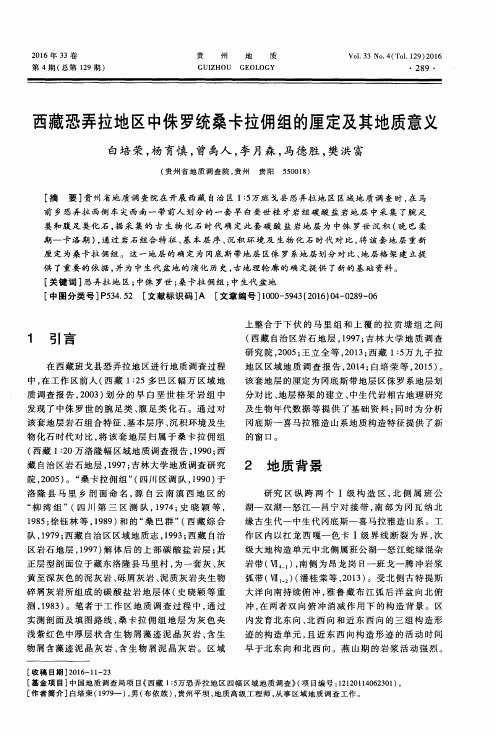 西藏恐弄拉地区中侏罗统桑卡拉佣组的厘定及其地质意义