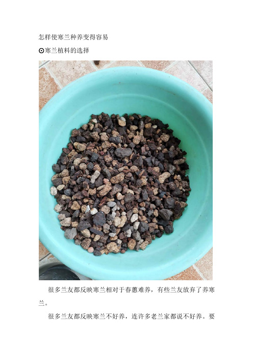 怎样使寒兰种养变得容易