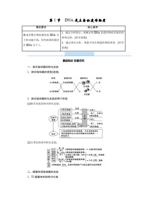 2022-2023学年 必修2 人教版 DNA是主要的遗传物质 教案