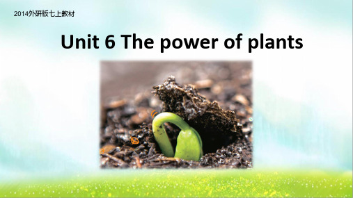 The power of plants  Understanding ideas课件(26张PPT)