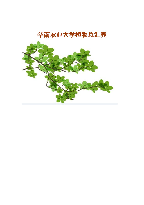 华南农业大学植物总汇表