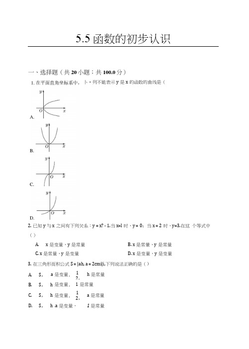 55函数的初步认识.docx