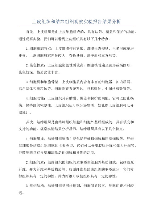 上皮组织和结缔组织观察实验报告结果分析