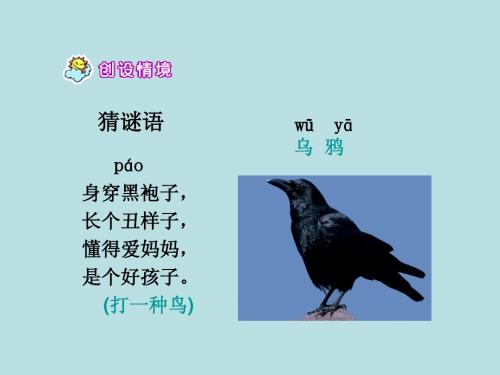 一年级下册《乌鸦喝水》PPT