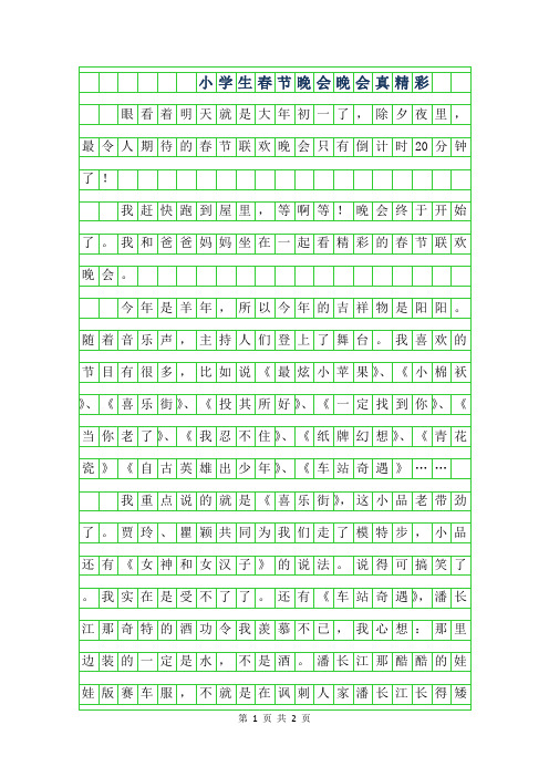 2019年小学生春节晚会作文400字-晚会真精彩