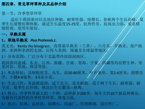 【草坪学】第四章、常见草坪草种及其