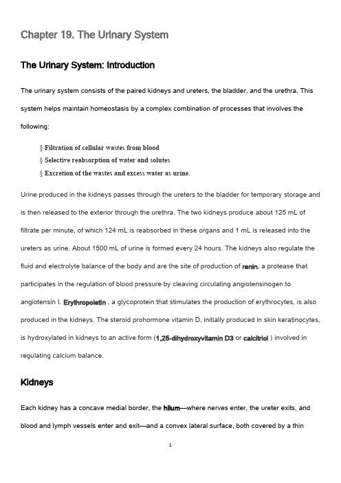 留学生教学教师备课教案泌尿系统The Urinary System