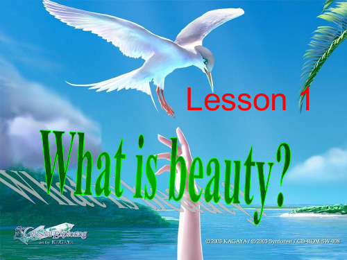 Lesson 1 What is beauty