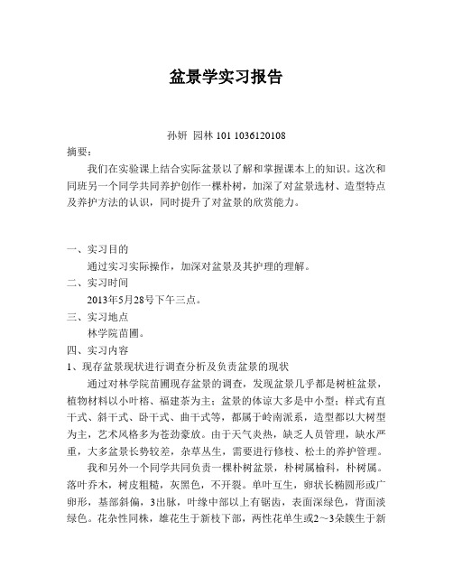 园林专业盆景实习报告 3000字附图