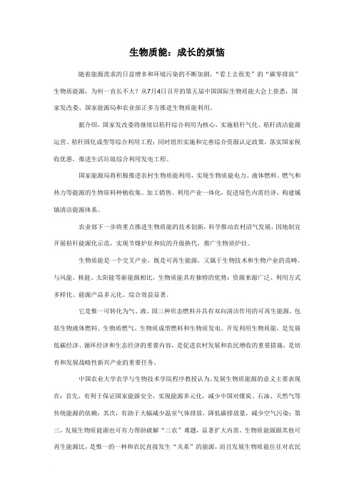 生物质能:成长的烦恼