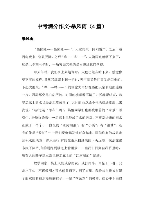 中考满分作文-暴风雨(4篇)