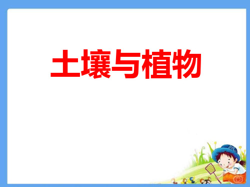 《土壤与植物》PPT