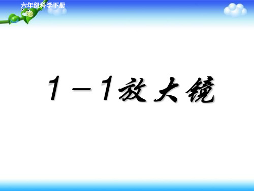 六年级下册科学课件1.1放大镜 (2)｜ 教科版 (共22张PPT)