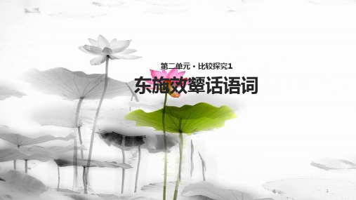 八年级语文下册 第二单元 比较探究《东施效颦话语词》教学课件 北师大版.pptx