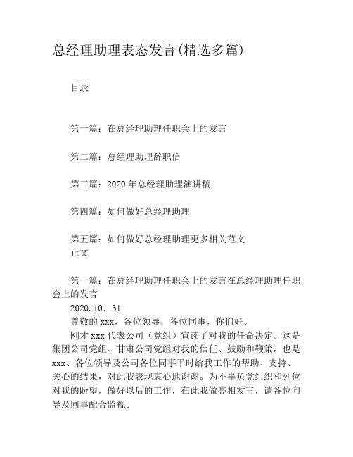 总经理助理表态发言(精选多篇)