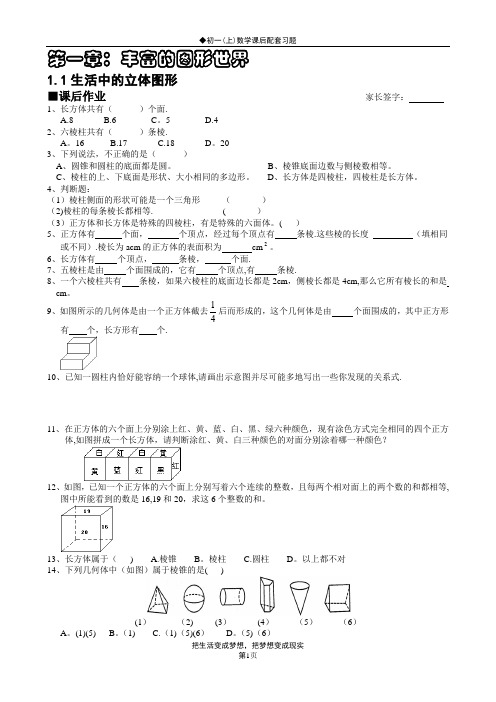 北师大版初一(上)数学配套习题第一章：丰富的图形世界