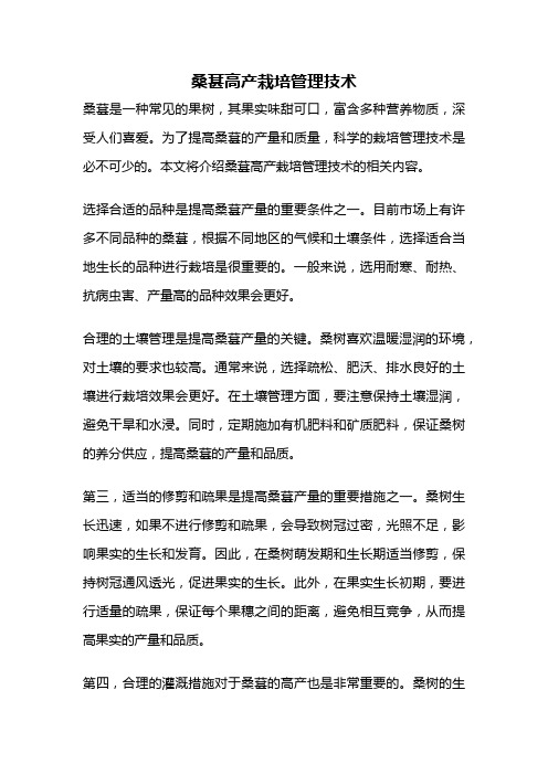 桑葚高产栽培管理技术