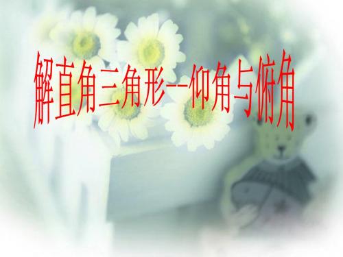 解直角三角形2(仰角、俯角)[(1)湘教版