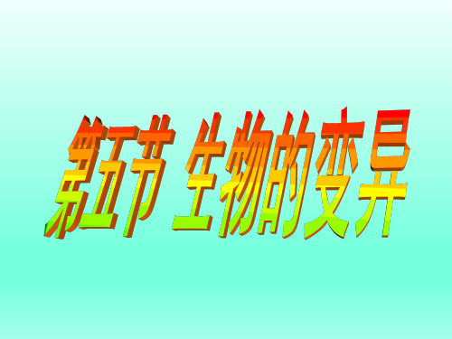 苏教版八年级生物下册：22.5生物的变异 课件 (共33张PPT)