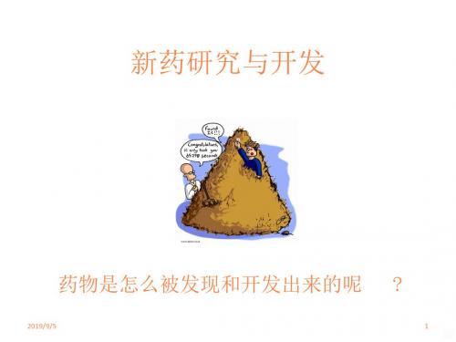 药物研究与发现ppt课件