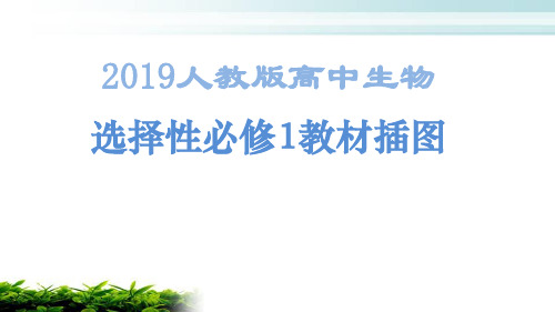 (做课件必备)2019人教版高中生物必修1教材插图