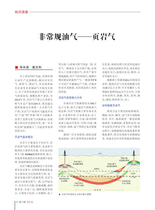 非常规油气_页岩气_车长波