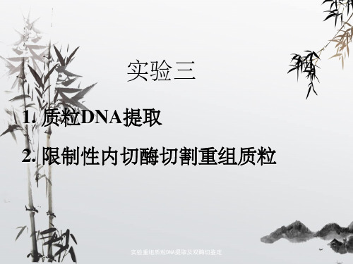 实验重组质粒DNA提取及双酶切鉴定