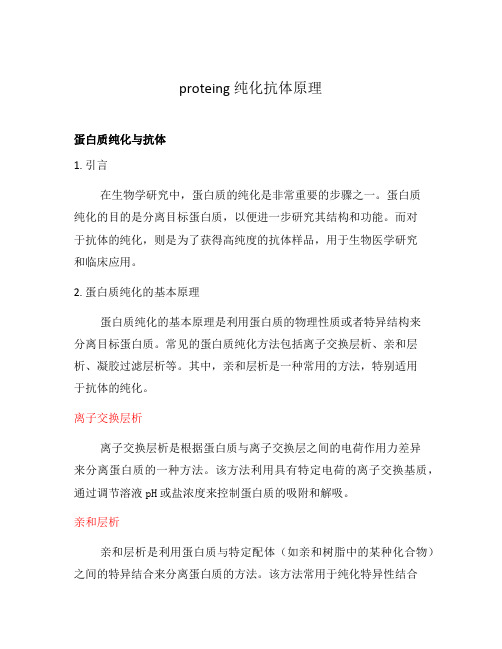 proteing纯化抗体原理