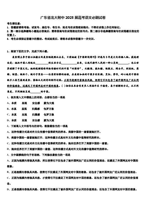 广东省北大附中2025届高考语文必刷试卷含解析